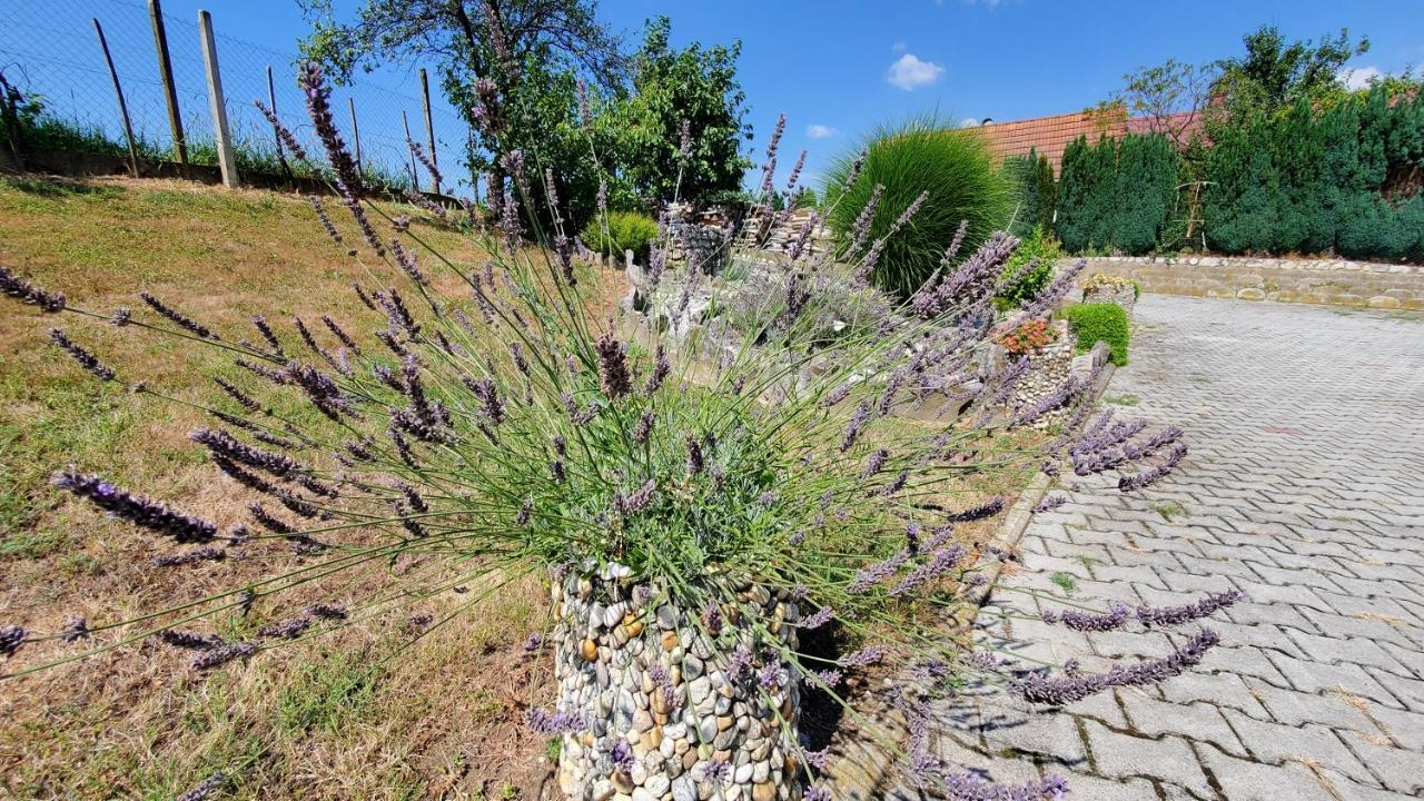 Apartma Ksela Mala Nedelja Esterno foto
