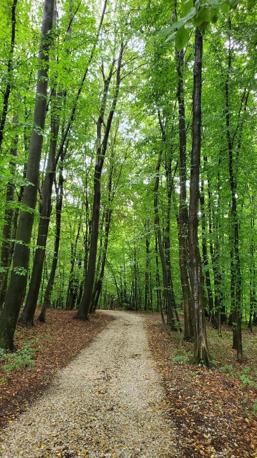 Apartma Ksela Mala Nedelja Esterno foto