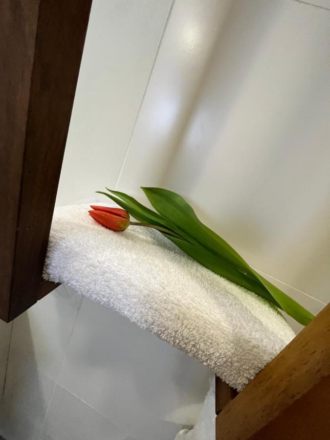 Apartma Ksela Mala Nedelja Esterno foto