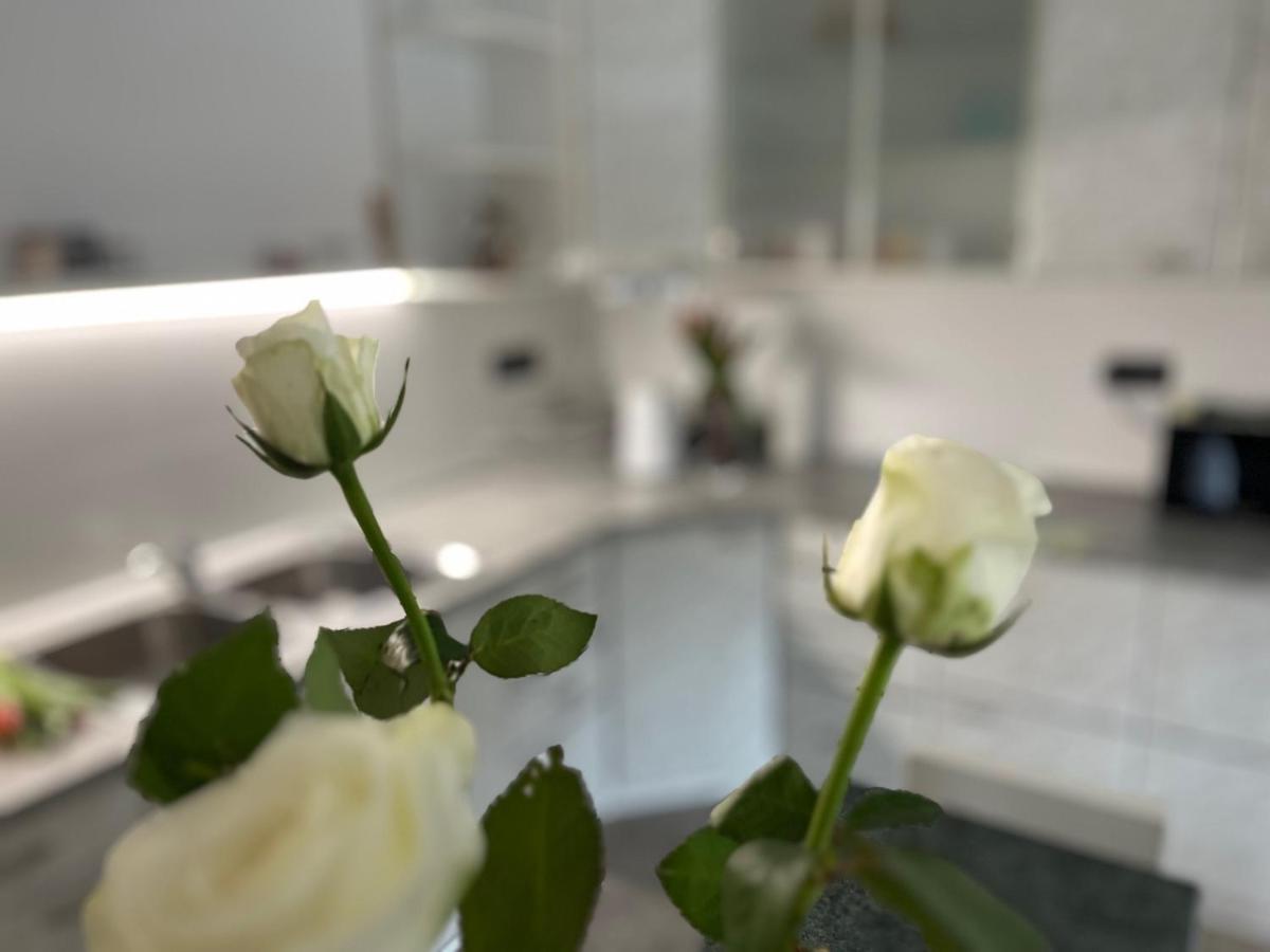 Apartma Ksela Mala Nedelja Esterno foto